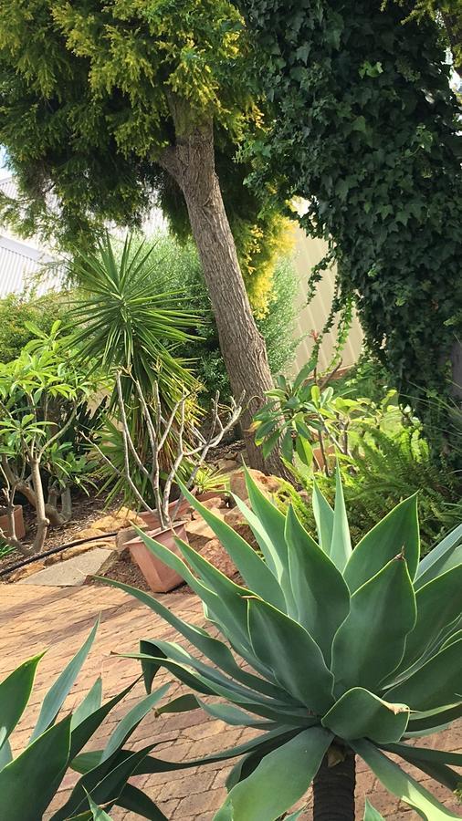 Armadale Cottage Bed & Breakfast Redcliffe Ngoại thất bức ảnh